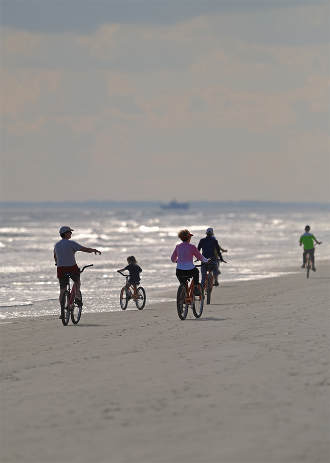 Fuji X-T3 + 200mm f/2 Sample Image