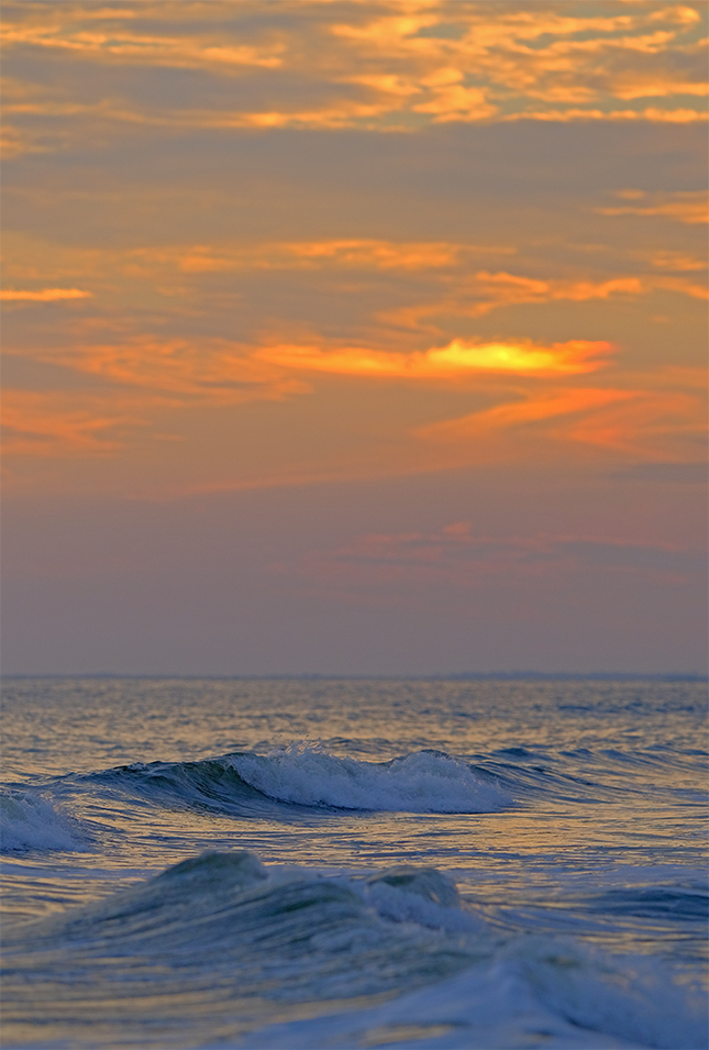 Fuji X-T3 + 200mm f/2 Sample Image