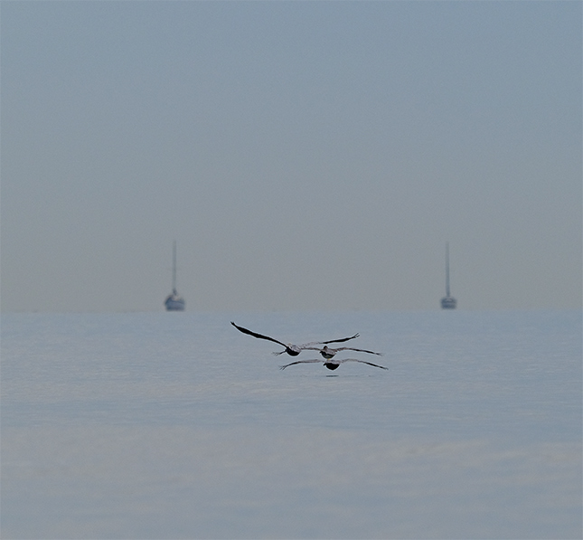 Fuji X-T3 + 200mm f/2 Sample Image