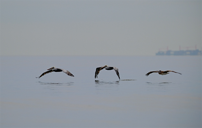 Fuji X-T3 + 200mm f/2 Sample Image