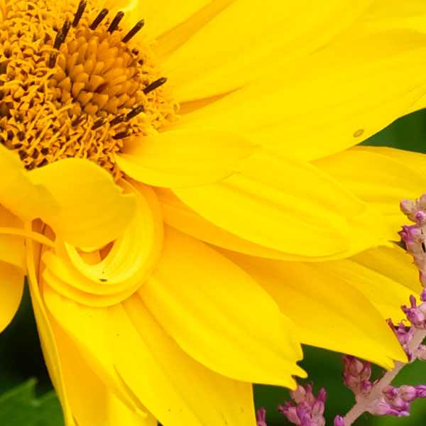 Fujinon GF 23mm f/4 R LM WR Review: Field Test -- Gallery Image