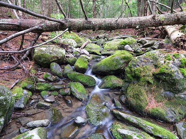 Fujinon GF 23mm f/4 R LM WR Review: Field Test -- Field of View Test Image