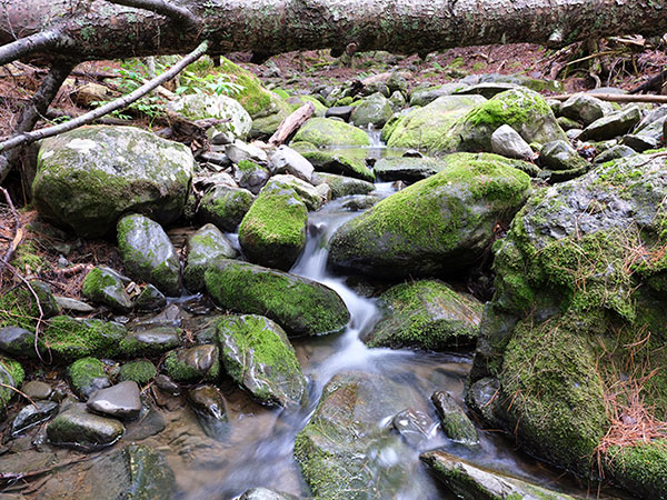 Fujinon GF 23mm f/4 R LM WR Review: Field Test -- Field of View Test Image