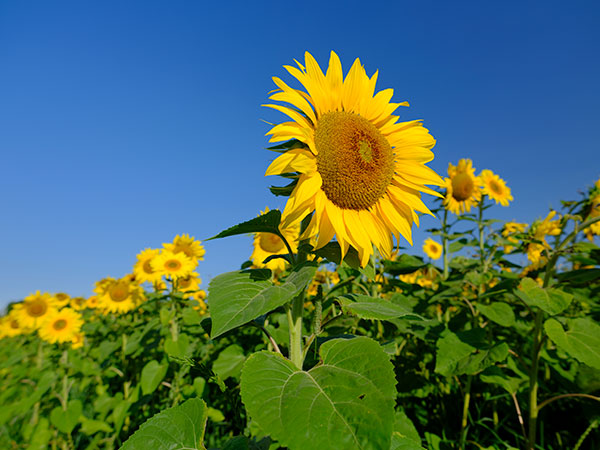 Fujinon GF 23mm f/4 R LM WR Review: Field Test -- Gallery Image