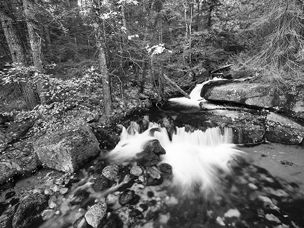 Fujinon GF 23mm f/4 R LM WR Review: Field Test -- Gallery Image