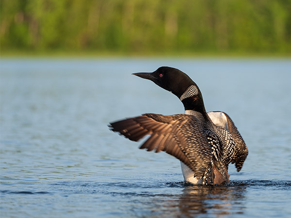 Fujinon GF 250mm f/4 R LM OIS WR Review: Field Test -- Gallery Image