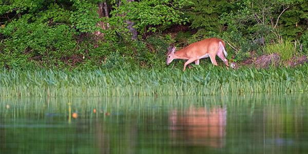 Fujinon GF 250mm f/4 R LM OIS WR Review: Field Test -- Gallery Image