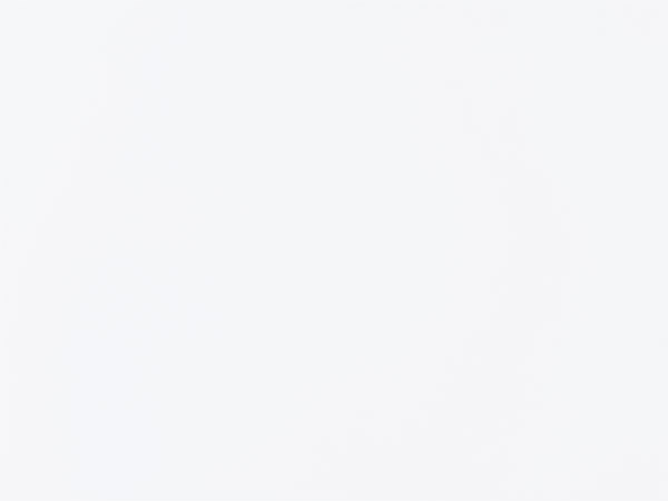 Fujinon GF 250mm f/4 R LM OIS WR Review: Field Test -- Gallery Image