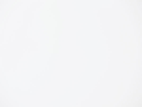 Fujinon GF 250mm f/4 R LM OIS WR Review: Field Test -- Gallery Image