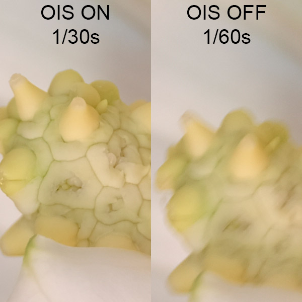 Fujinon GF 250mm f/4 R LM OIS WR Review: Field Test -- Gallery Image