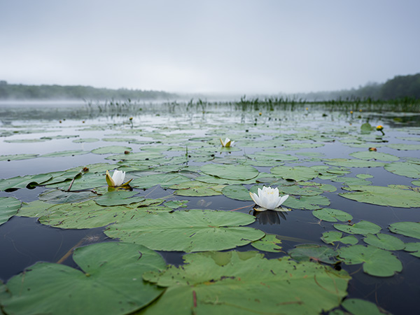 Fujinon GF 30mm f/3.5 R WR Review: Field Test -- Gallery Image