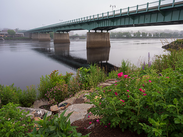 Fujinon GF 30mm f/3.5 R WR Review: Field Test -- Gallery Image