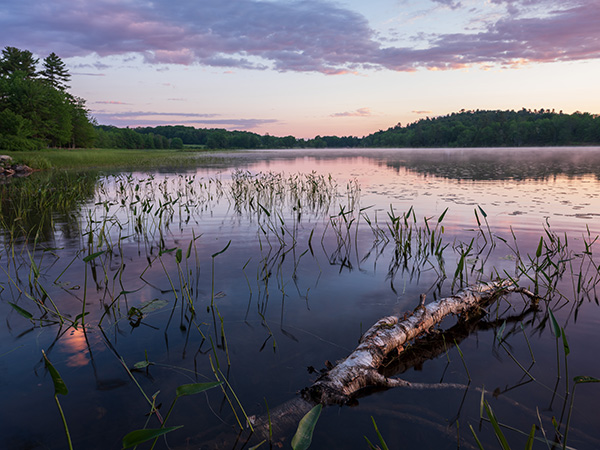 Fujinon GF 30mm f/3.5 R WR Review: Field Test -- Gallery Image