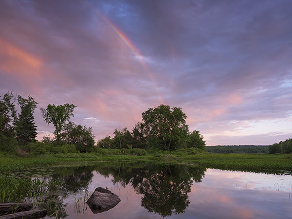 Fujinon GF 30mm f/3.5 R WR Review: Field Test -- Gallery Image