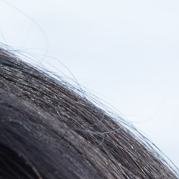 Fujinon GF 32-64mm f/4 R LM WR Review: Field Test -- Gallery Image