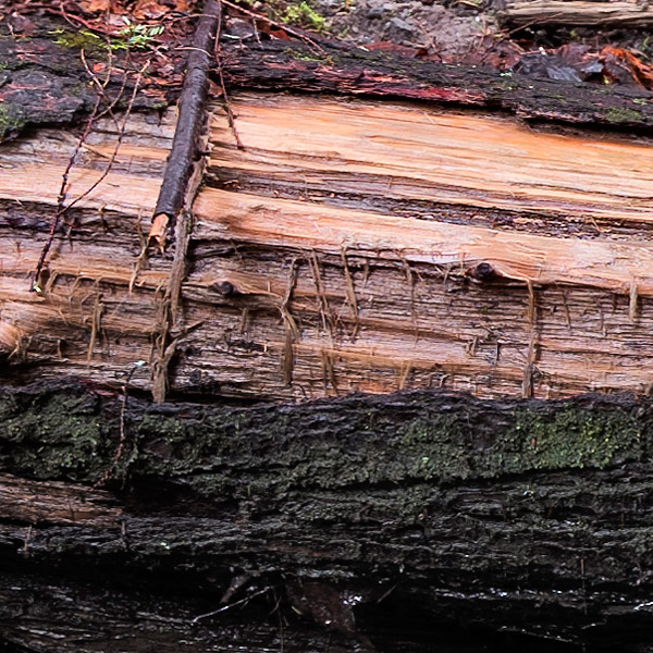 Fujinon GF 32-64mm f/4 R LM WR Review: Field Test -- Gallery Image