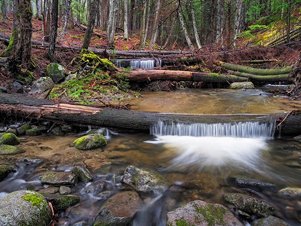 Fujinon GF 32-64mm f/4 R LM WR Review: Field Test -- Gallery Image