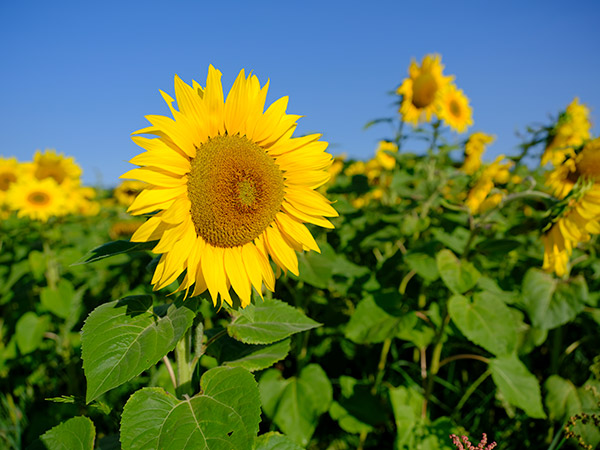 Fujinon GF 32-64mm f/4 R LM WR Review: Field Test -- Gallery Image