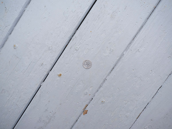 Fujinon GF 32-64mm f/4 R LM WR Review: Field Test -- Close Focus Test Image