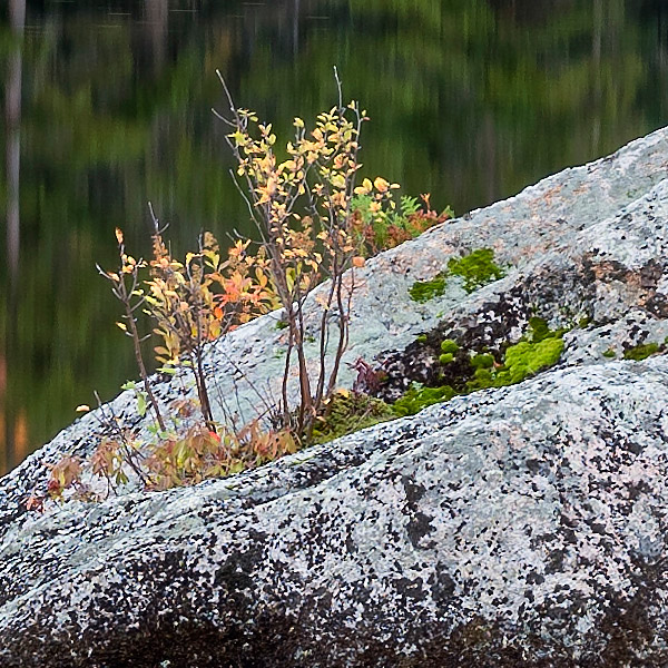 Fujinon GF 32-64mm f/4 R LM WR Review: Field Test -- Gallery Image