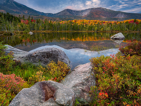 Fujinon GF 32-64mm f/4 R LM WR Review: Field Test -- Gallery Image