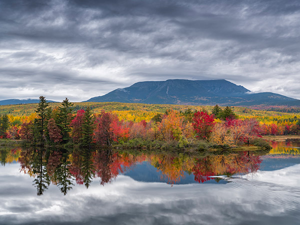 Fujinon GF 32-64mm f/4 R LM WR Review: Field Test -- Gallery Image