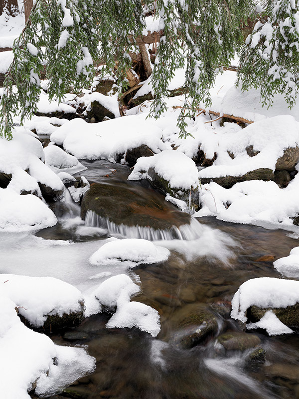 Fujinon GF 32-64mm f/4 R LM WR Review: Field Test -- Gallery Image