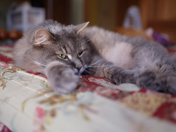 Fujinon GF 45mm f/2.8 R WR Review: Field Test -- Gallery Image