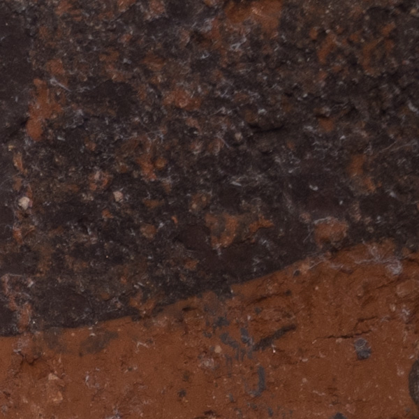 Fujinon GF 45mm f/2.8 R WR Review: Field Test -- Sharpness Test Image