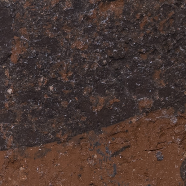 Fujinon GF 45mm f/2.8 R WR Review: Field Test -- Sharpness Test Image