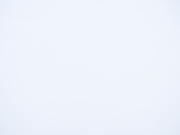 Fujinon GF 45mm f/2.8 R WR Review: Field Test -- Vignette Test Image