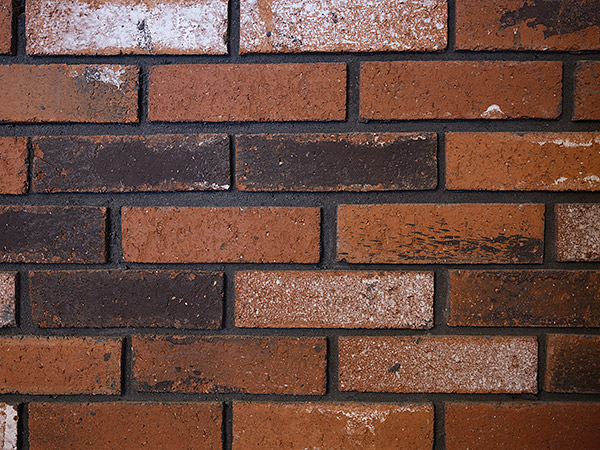 Fujinon GF 45mm f/2.8 R WR Review: Field Test -- Sharpness Test Image