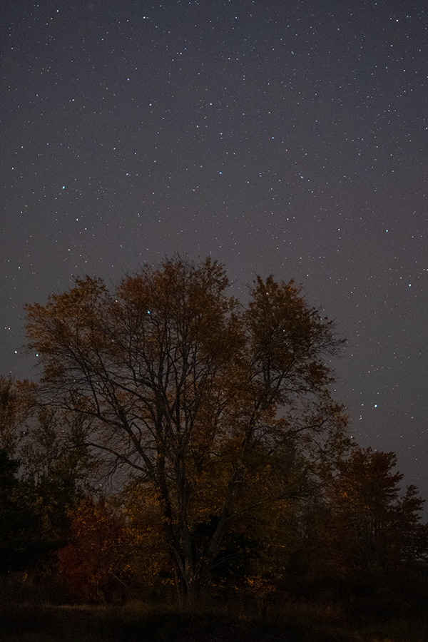 Fujifilm XF 50mm f/1.0 R WR Review: Field Test -- Gallery Image