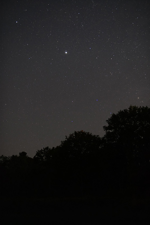 Fujifilm XF 50mm f/1.0 R WR Review: Field Test -- Gallery Image