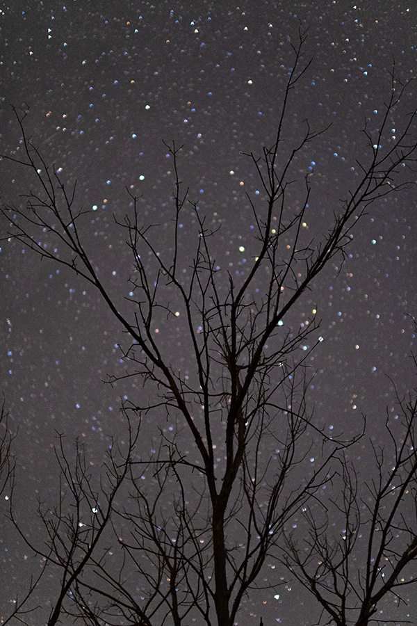 Fujifilm XF 50mm f/1.0 R WR Review: Field Test -- Gallery Image