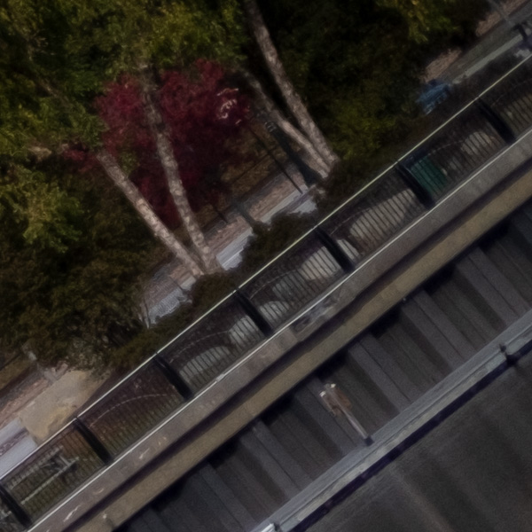 Fujifilm XF 50mm f/1.0 R WR Review: Field Test -- Gallery Image