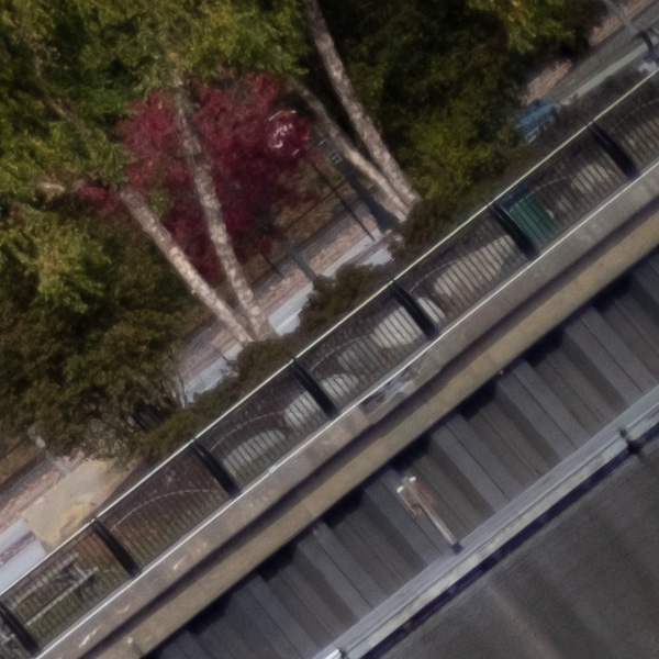 Fujifilm XF 50mm f/1.0 R WR Review: Field Test -- Gallery Image