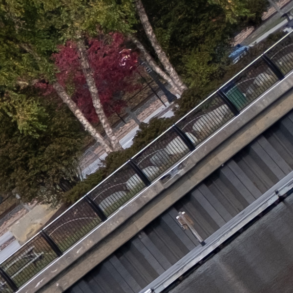 Fujifilm XF 50mm f/1.0 R WR Review: Field Test -- Gallery Image