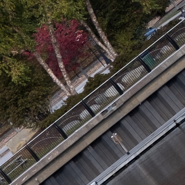 Fujifilm XF 50mm f/1.0 R WR Review: Field Test -- Gallery Image