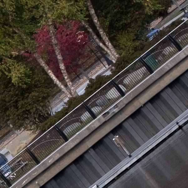 Fujifilm XF 50mm f/1.0 R WR Review: Field Test -- Gallery Image