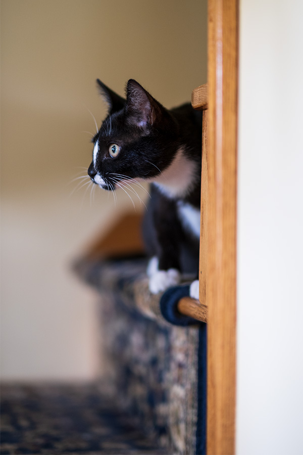 Fujifilm XF 50mm f/1.0 R WR Review: Field Test -- Gallery Image