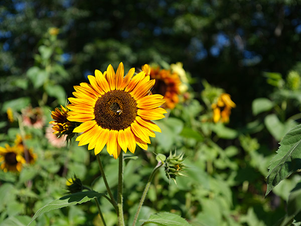 Fujinon GF 50mm f/3.5 R LM WR Review: Field Test -- Gallery Image