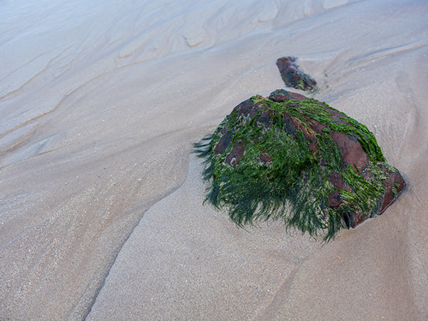 Fujinon GF 50mm f/3.5 R LM WR Review: Field Test -- Gallery Image