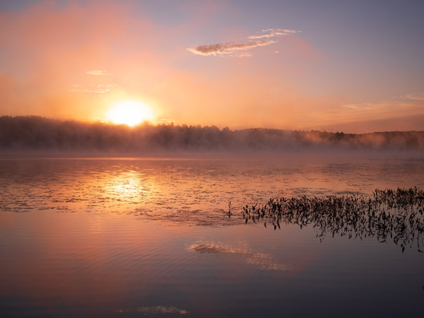 Fujinon GF 50mm f/3.5 R LM WR Review: Field Test -- Gallery Image