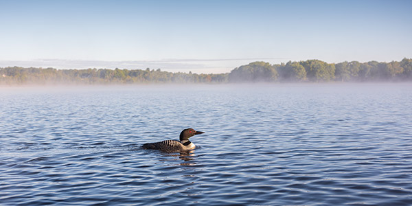 Fujinon GF 50mm f/3.5 R LM WR Review: Field Test -- Gallery Image