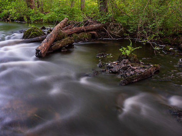 Fujinon GF 50mm f/3.5 R LM WR Review: Field Test -- Gallery Image