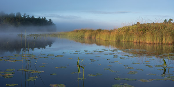 Fujinon GF 50mm f/3.5 R LM WR Review: Field Test -- Gallery Image
