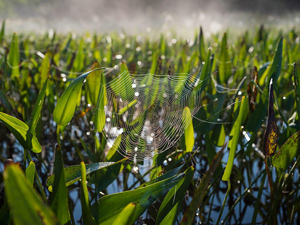 Fujinon GF 50mm f/3.5 R LM WR Review: Field Test -- Gallery Image