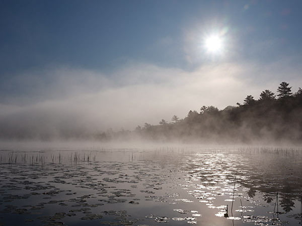 Fujinon GF 50mm f/3.5 R LM WR Review: Field Test -- Gallery Image