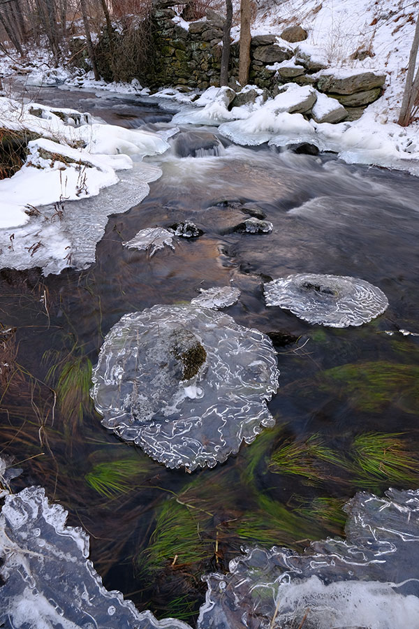 Fujinon XF 8-16mm f/2.8 R LM WR Review: Field Test -- Gallery Image